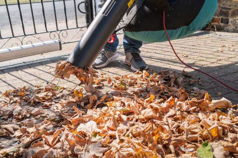 Fall Lawn Cleanup Equipment