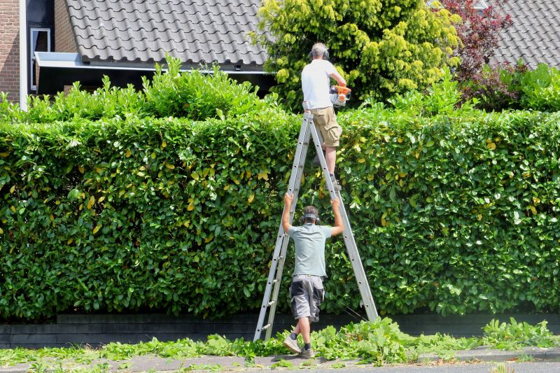 Hedge Cutting