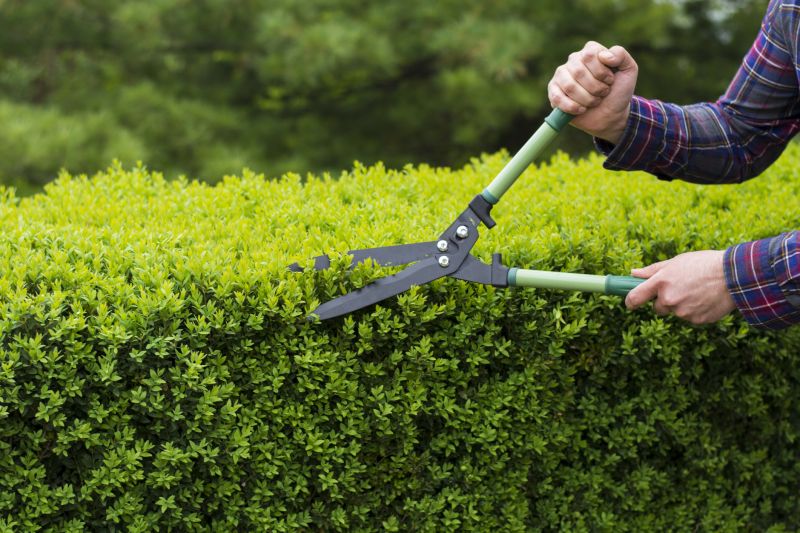 Hedge Cutting Tools