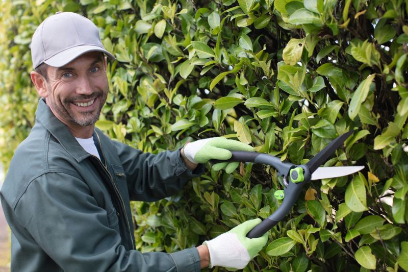 Products For Hedge Cuttings in use