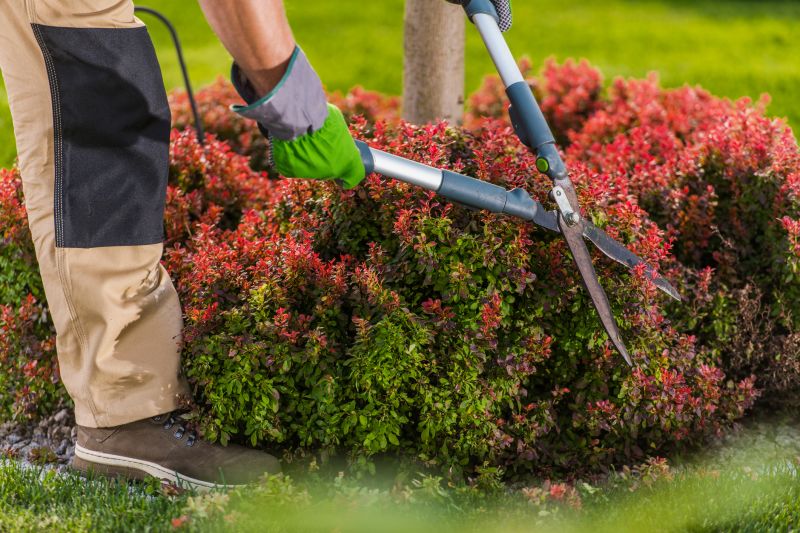 Trimming in a Garden Bed