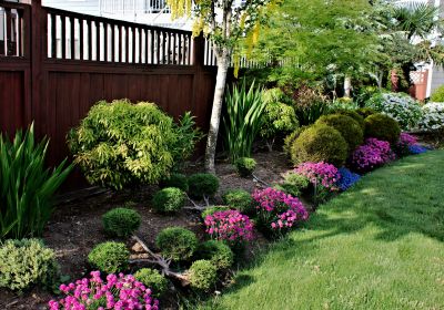 Garden Bed with Trimmed Shrubs