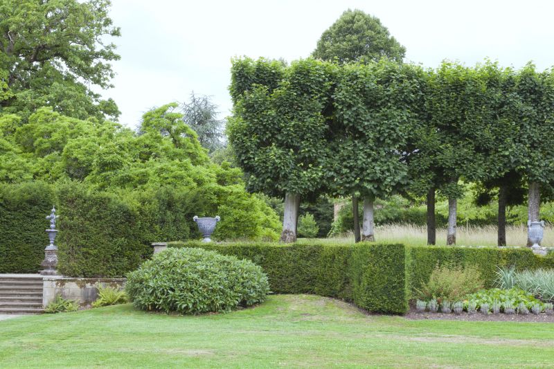 Get Hedge Cutting To Prevent Overgrowth