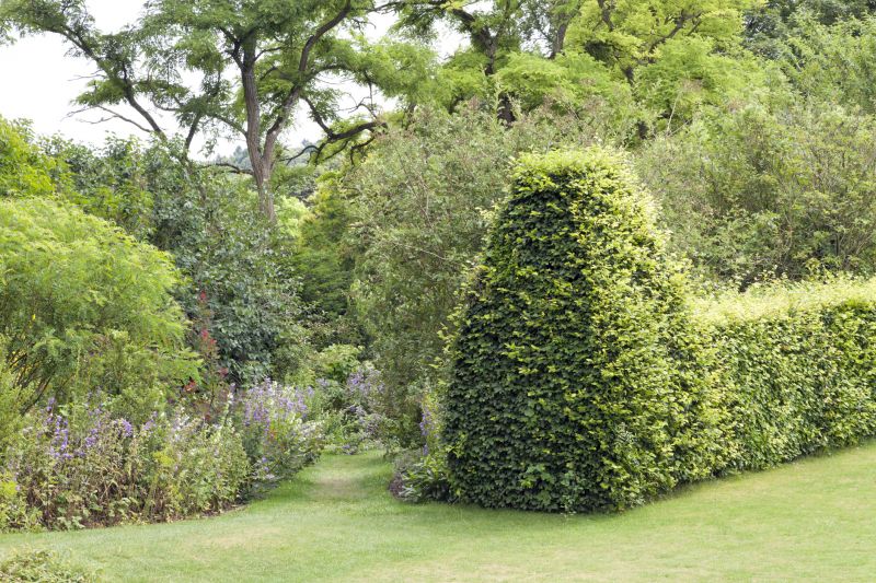 Manage Pests and Diseases By Cutting Your Hedges